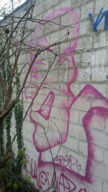 #Graffiti. Charakter und #SHM.