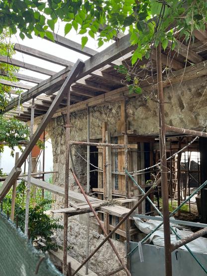 The leaves above make the scaffolding that holds up this stone shell of a house look almost like a pergola. There’s scaffolding inside too, and a doorway ornamented by boards. Only the corner of the house is in the image, the corner column of the concrete porch on the left and a little of the green construction cloth that shrouds it that I snuck the camera past. It’s been there, like this, for some time, on the steps at the edge of the back of  the Kallimarmaro, coming down into Pagrati, a quiet and appealing, if somewhat inaccessible street.
