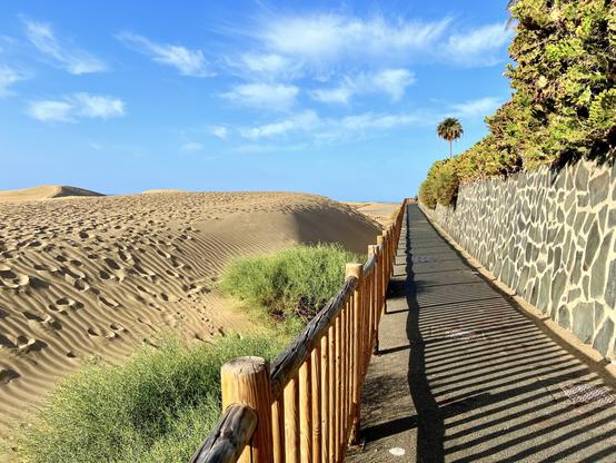 One of my favourite morning walks ... Strolling along the golden sand dunes of Maspalomas, on a glorious clear blue sky spring day, with no-one else around, just yourself, your thoughts, the amazing and intense light, and the endless gorgeous view of nothing but golden sand dunes all around with a solitary palm tree in the horizon. It just can't better than this, I tell you, before the workday begins 😍👍🏻