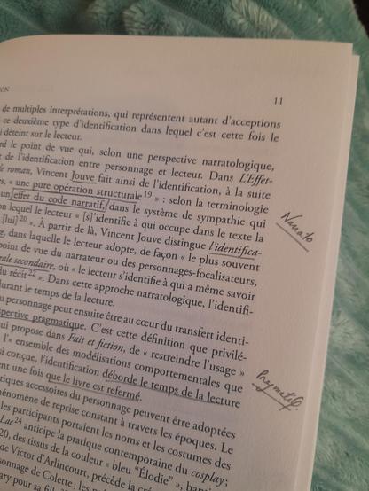 Page de l'introduction du livre "Le Personnage romanesque au miroir du lecteur", sur les processus d'identification et d'empathie pour le personnage, annotée au crayon gris : passages soulignés, indications de grands thèmes/approches dans les marges (Narratolo / Pragmatique).