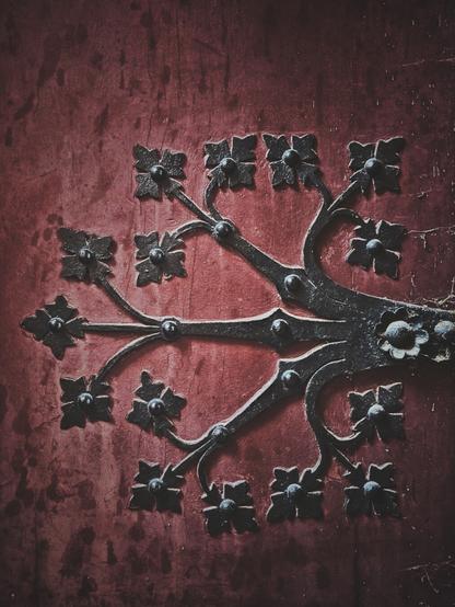 The image shows a close-up of a dark metal decorative element attached to a reddish surface. The metalwork is a hinge of a door. It is shaped like a stylized branch with multiple offshoots ending in a floral or star-like motif with four petals/points, each secured with a visible rivet in the center. There are a total of twelve of these floral/star motifs. The main part of the metalwork is wider and also has rivets visible along its length, suggesting it is attached to the surface at multiple points. The reddish wood surface has a textured appearance and shows some wear or variations in color.