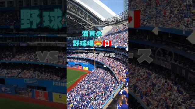 満員のブルージェイズ🇨🇦 ロジャースセンター🏟️⚾️ #shorts #野球 #mlb #メジャーリーグ #トロント #ブルージェイズ #野球観戦 #野球好き #baseball