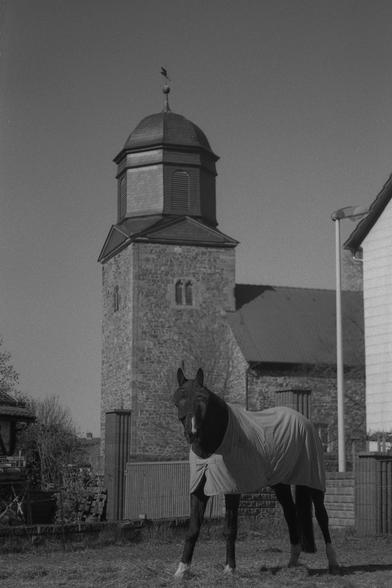 Hochkant schwarz-weiß-Bild eines Pferdes vor einer leicht unscharfen Kirche. Das recht dunkle (schwarze) Pferd trägt sowohl eine Maske über dem Gesicht als auch einen "Mantel".