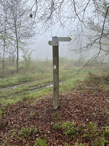 Wanderwegweiset