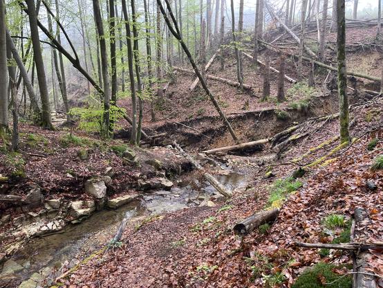 Wanderweg am Bachlauf