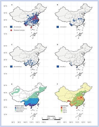 Graphic showing geographic distribution of four major malaria Anopheles in mainland China between 2000 and 2016: An sinensis (A), An lesteri (B), An minimus (C), and An dirus (D).8 Red dots in map A indicate that insecticide resistance has been reported in An sinensis population (data from https://apps.who.int/malaria/maps/threats/). Stratified malaria endemic regions in 1979 (E) and 2010 (F). County type I=annual incidence >10/100 000, with indigenous cases reported in three consecutive years; type II= indigenous cases reported in past three years but annual incidence