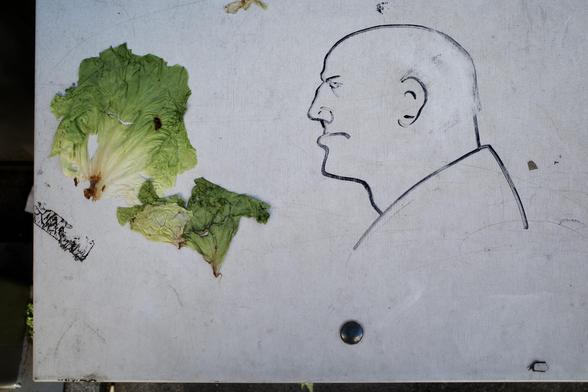 The image shows a simple black line drawing of a bald man’s profile on a gray surface, facing left. To the left of the drawing, there are two wilted lettuce leaves positioned in a way that humorously appears as though the man is staring at them.