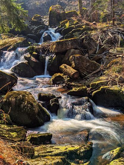 A long-exposure shot captures a cascading stream flowing over moss-covered rocks in a woodland. The water appears silky smooth due to the slow shutter speed, creating a sense of motion. Sunlight dapples the scene, highlighting the textures of the rocks and the flowing water. Evergreen trees and bare branches frame the upper portion of the image.