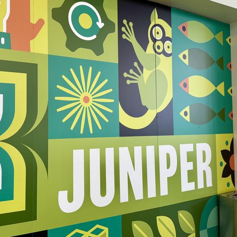 Wall art at the Juniper Networks HQ cafeteria featuring a GREEN LEMUR!