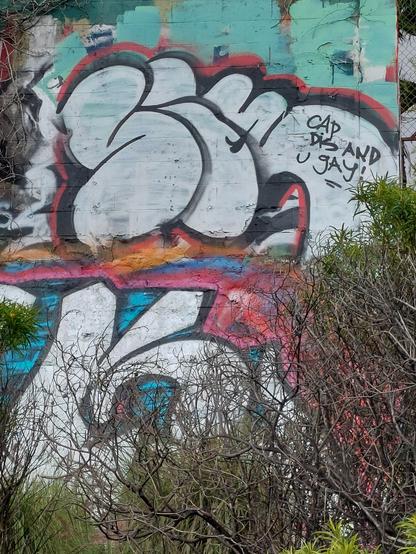 some graffiti spotted somewhere in LA, on a concrete wall slightly behind a bush, with the usual stylized big puffy font letters, over which someone painted in single lines "CAP DIS AND U GAY!"