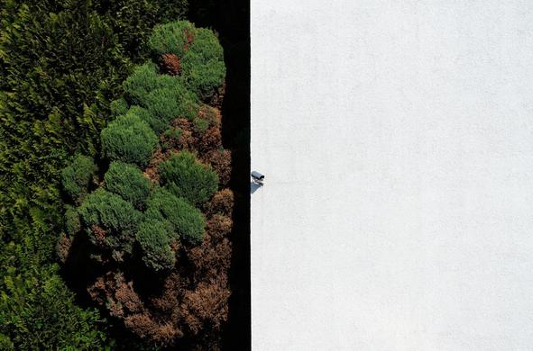 A cctv camera seemingly surveilling a blank white wall while off camera nature runs riot.