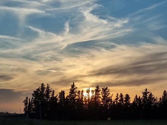 Sole al tramonto si nasconde dietro rami d'alberi lungo la strada, cielo azzurro, pennellate bianche di nuvole, orizzonte color albicocca