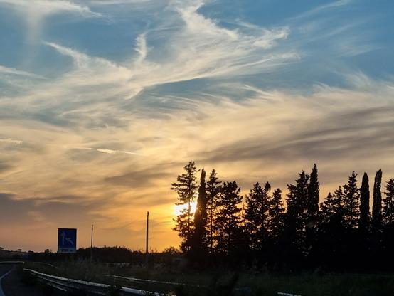 Sole al tramonto si nasconde dietro rami d'alberi lungo la strada, cielo azzurro, pennellate bianche di nuvole, orizzonte color albicocca
