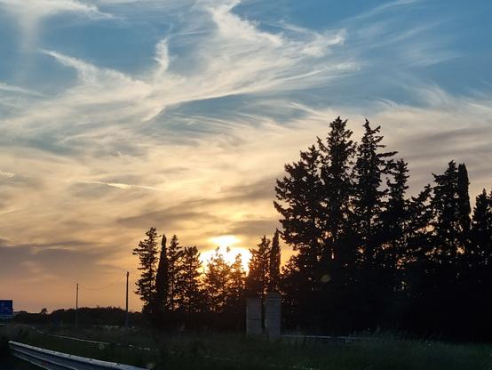 Sole al tramonto si nasconde dietro rami d'alberi lungo la strada, cielo azzurro, pennellate bianche di nuvole, orizzonte color albicocca