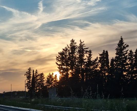 Sole al tramonto si nasconde dietro rami d'alberi lungo la strada, cielo azzurro, pennellate bianche di nuvole, orizzonte color albicocca