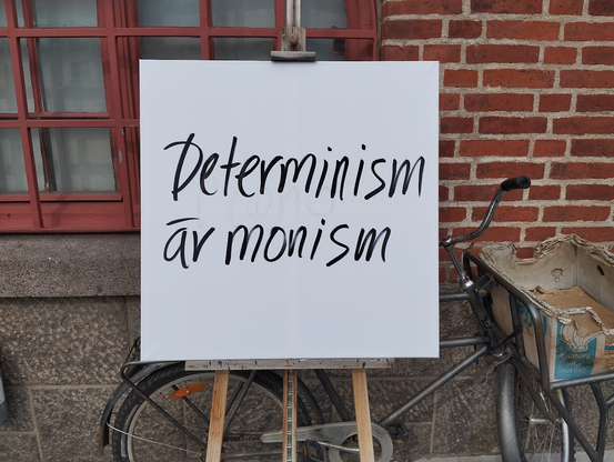 Determinism 
är monism
