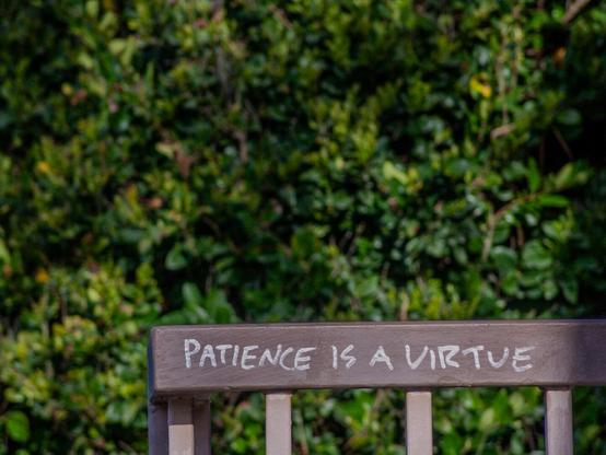 A metal railing with the phrase 'PATIENCE IS A VIRTUE' written in white letters across its top horizontal bar. The railing is brown in color and has vertical supports visible below the text. The railing is positioned in front of dense green foliage consisting of various shrubs and plants that fill the background. The text stands out against the metal surface of the railing.