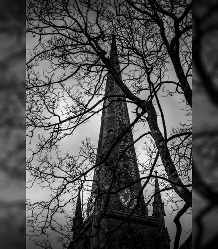 Church steeple seen through branches of tree