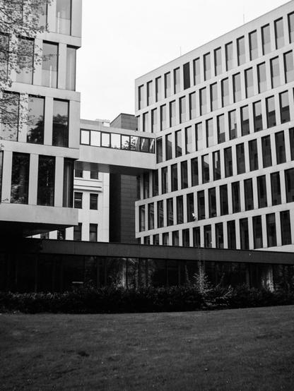 Black and white photo of a modern office building with a geometric façade, large windows, and a skybridge connecting two structures. The foreground features a neatly trimmed lawn bordered by low shrubbery.