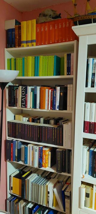 Bild zeigt Bücherschrank zum Thema Philosophie von der Platon bis Derrida.