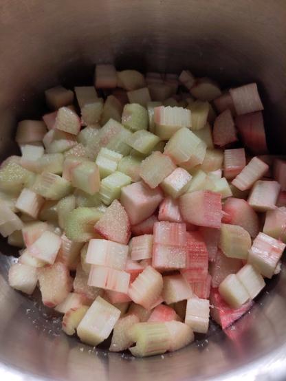 Die Rhabarberstücke wurde in einem Topf gegeben und mit Zucker bestreut.
