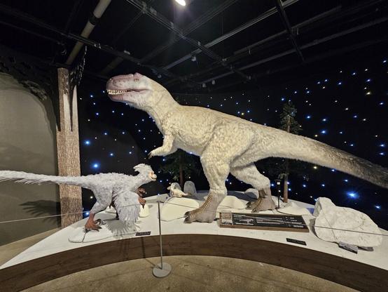 Nanuqsaurus Hoglundi Model