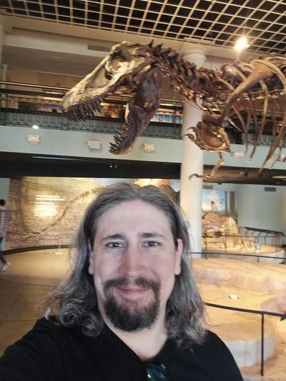 Person in front of T Rex Skeleton