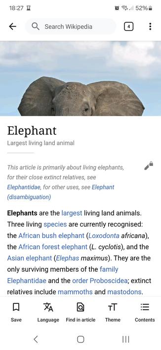 Wikipedia page for 'elephant'