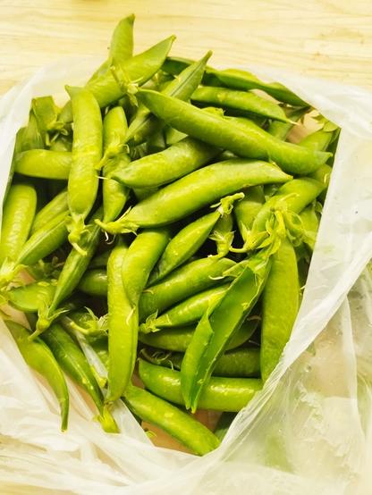 Tas de cosses de petits pois bien vertes