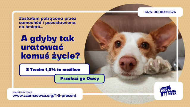 Na zdjęciu pies opierający się o stół łapami i pyszczkiem, obok napis: zostałam potrącona przez samochód i pozostawiona na śmierć....A gdyby tak uratować komuś życie? Z Twoim 1,5% to możliwe. Przekaż go Owcy. Numer KRS: 0000325626
Strona www: https://czarnaowca.org/1-5-procent/