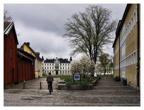 En kvinna cyklar på en gång- och cykelväg mellan röda och gula hus. I mitten delas vägen av buskar och ett litet träd med vita blommor. I bakgrunden ett vitt stenhus från ca förra sekelskiftet. Himmelen gråblå i olika nyanser.