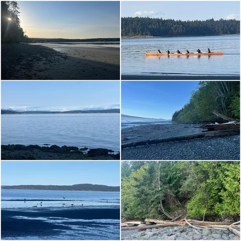 Six-panel collage. Top left: Sunlit beach with dark sand, trees on the left. Top right: Orange canoe with 5 figures on shimmering water; forest backdrop. Middle Left: Calm water and land with mountains in the distance. Middle right: Rocky beach with driftwood and a green forest edge. Bottom left: Shallow water and sand reflecting the sky with distant land with birds. Bottom right: Pebbled beach with downed logs and trees. Blue sky appears in most scenes. Natural light is bright and crisp.