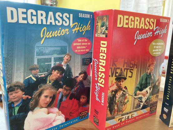 Two seasons of Degrassi Junior High on DVD.
