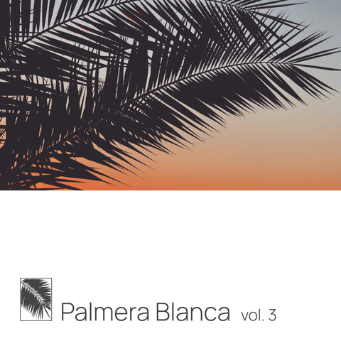music mix cover with palm leafs