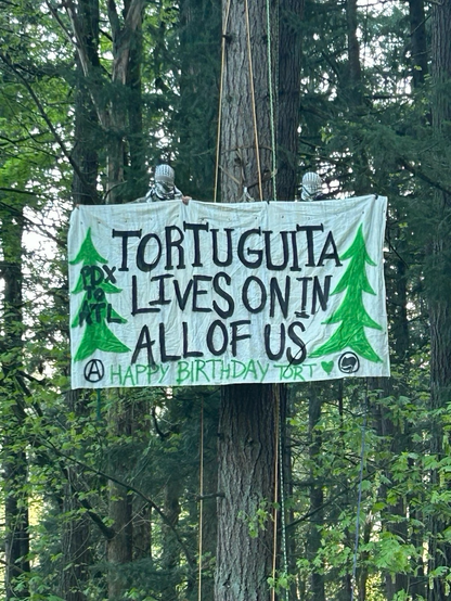 Two people wearing keffiyehs hanging in a tree carrying a banner that reads “Tortuguita lives on in all of us” and “happy birthday tort” On both sides of the banner there is a green tree, and on the tree on the left it says “PDX to ATL”