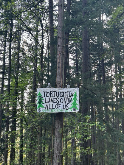 Two people wearing keffiyehs hanging in a tree carrying a banner that reads “Tortuguita lives on in all of us” and “happy birthday tort” On both sides of the banner there is a green tree, and on the tree on the left it says “PDX to ATL”