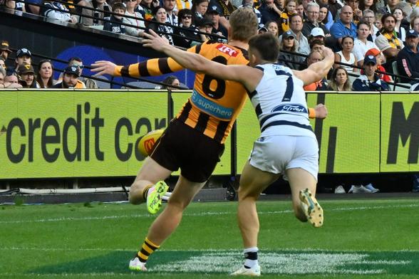 Shaun Mannagh defends the goal. (Kim Densham/AFANA)
https://www.afana.com/news/2025/04/22/mannagh-sinks-hawks-easter-monday
#AFANA #AFL #geelongcats #hawthornfc @crasht