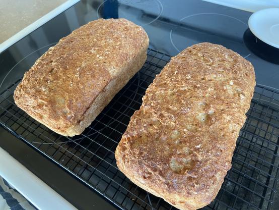 Two loaves of golden brown, gluten free, bread fresh from the oven, on a cooling rack.
