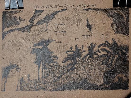 Pen and ink illustration on brown packing paper: of a rather heavily overcast and light polluted night sky. A big light source on the bottom left corner, from the building, is contributing to the disorienting light level here. This is the east-northeast to eastern horizon, with the darker silhouettes of coconut and tal palms, and the lighter foliar mass of banyan and other trees. Amid the cloud cover, some stars are very dimly visible, and have been labelled on the drawing itself: Vega, Altair, Ras Algethi, Ras Alhague, Sabik, and Antares.