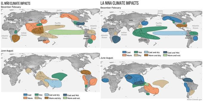 4 global maps by NOAA with colour-coded impacts of El Nino and La Nina in the season December-February and June-August.

El Nino:
December-February sees warming in North-West America, South Brazil, all of India and South-East Asia and Southern Africa.
Dryness occurs in Southern Africa, South-East Asia.
June-August sees dryness in the Caribbean, South-East Asia and India.

La Nina:
December-February sees the opposite temperature sign to El Nino: cooler in Southern Africa, North-West America, South Brazil. And wetness in South-East Asia, Northern Brazil, Southern Africa. 
June-August sees wetness in India, parts of South-East Asia, and Caribbean, Tasmania.
