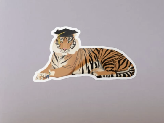 Our tiger mascot is graduating.