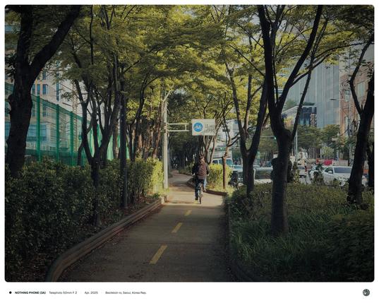 녹음이 우거진 벚꽃로 사이로 햇빛이 드리우고 있으며, 자전거 도로 가운데에는 자전거를 탄 사람이 지나가고 있는 모습.