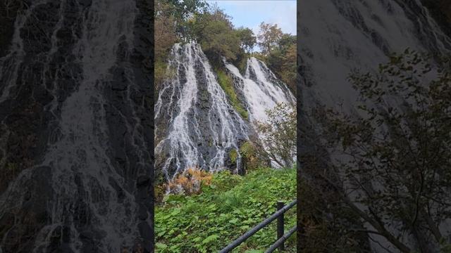 Oshinkoshin Falls/Waterfall-Hokkaido #travel #waterfall #hokkaido #japan #shorts #hokkaidojapan