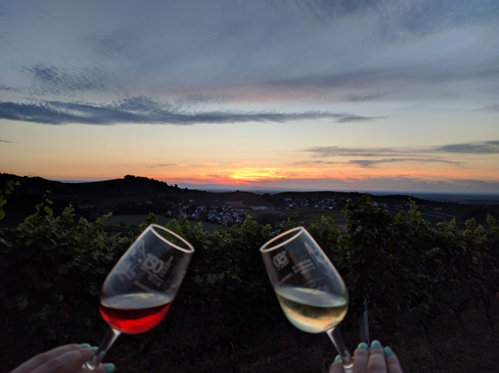 zwei Weingläser auf einem Weinberg, im Sonnenuntergang