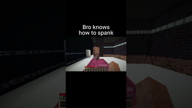 Minecraft Meme
