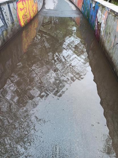 A very large puddle blocks a path. There is graffiti on the walls that line either side of this path.