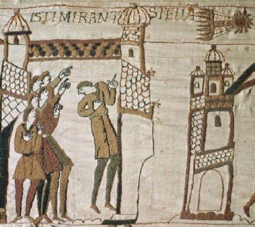 The comet embroidered on the Bayeux tapestry