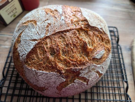 Ein Brot mit großem Ofensprung auf einem schwarzen Auskühlgitter