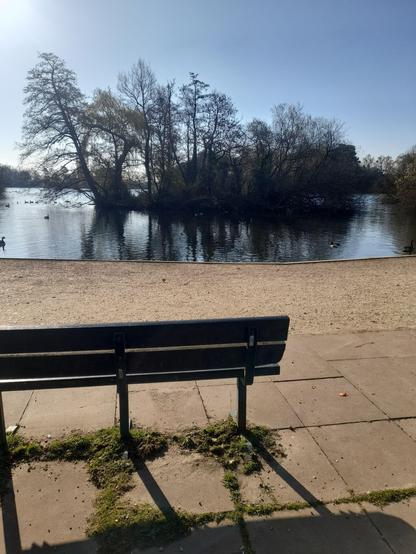 a bench sitting on a paved floor looking out on a body of water with ducks swimming on it and trees in the middle of it.