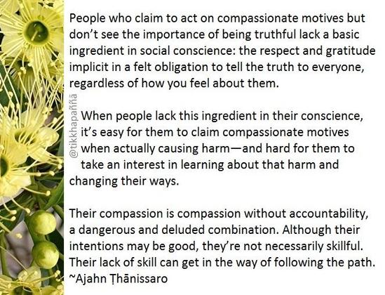 People who claim to act on compassionate motives but don’t see the importance of being truthful lack a basic ingredient in social conscience: the respect and gratitude implicit in a felt obligation to tell the truth to everyone, regardless of how you feel about them.
When people lack this ingredient in their conscience, it’s easy for them to claim compassionate motives when actually causing harm—and hard for them to take an interest in learning about that harm and changing their ways.
Their compassion is compassion without accountability, a dangerous and deluded combination. Although their intentions may be good, they’re not necessarily skillful. Their lack of skill can get in the way of following the path.
~Ajahn Ṭhānissaro